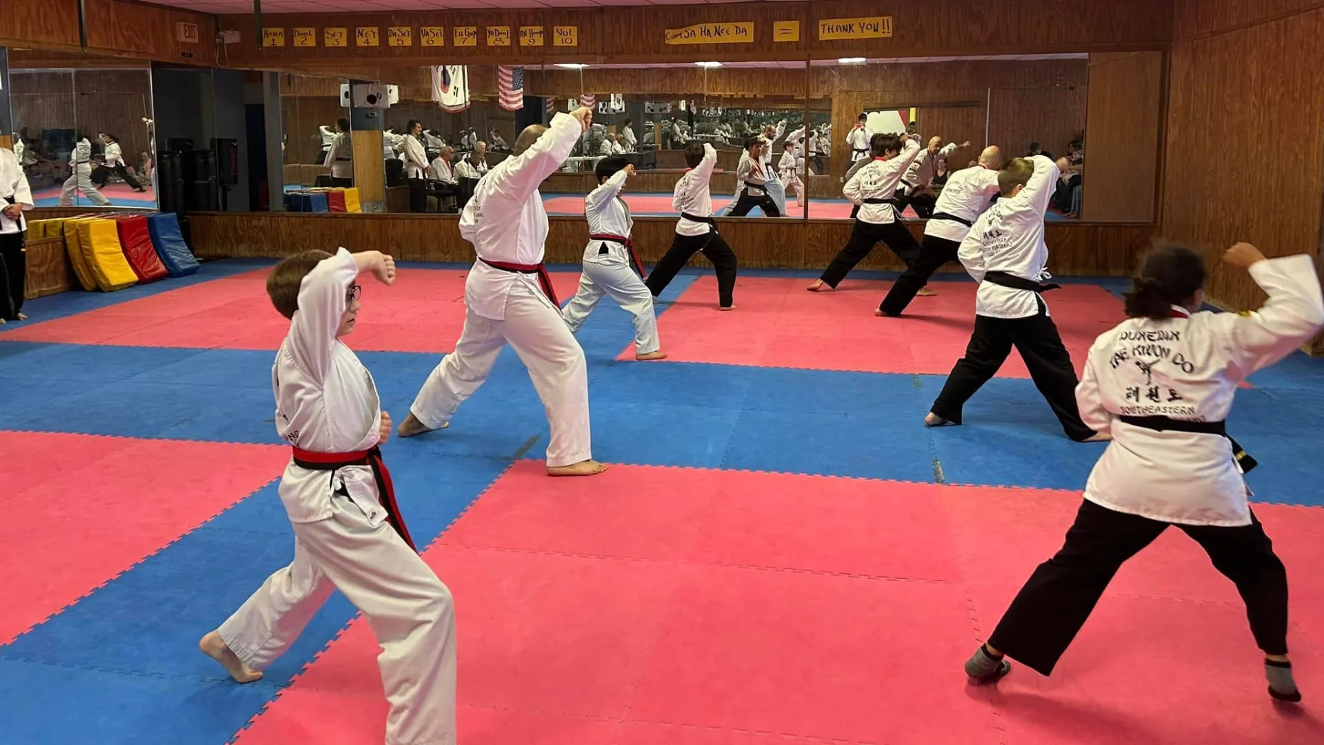Teen and adult students at Dunedin Taekwondo Academy